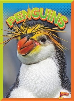 Penguins - Terp, Gail