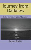 Journey from Darkness: Finding God in the Depths of Depression