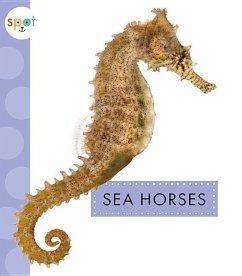 Sea Horses - Schuh, Mari C.