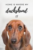 Home Is Where My Dachshund Is