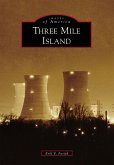 Three Mile Island (eBook, ePUB)