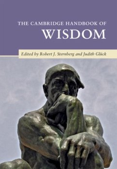 Cover Cambridge Handbook of Wisdom (eBook, PDF)