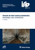 Fehler in der Kanalsanierung (eBook, PDF)