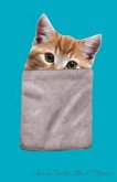 Cat in Pocket Sheet Music