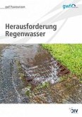 Herausforderung Regenwasser (eBook, PDF)
