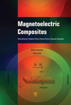 Magnetoelectric Composites - Bichurin, Mirza I