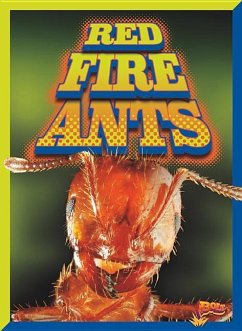 Red Fire Ants - Pearson, Scott