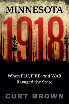 Minnesota, 1918: When Flu, Fire, and War Ravaged the State - Brown, Curt