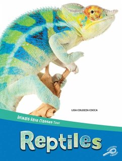Animals Have Classes Too! Reptiles - Cocca