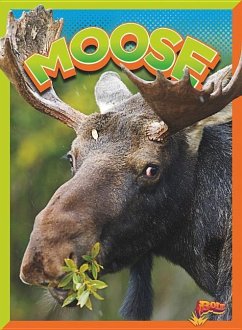 Moose - Terp, Gail