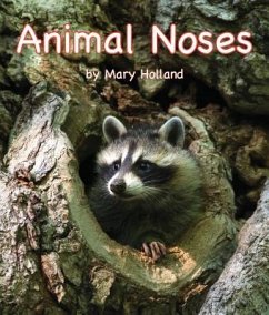 Animal Noses - Mary Holland