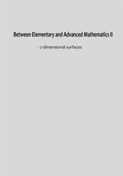 Between Elementary and Advanced Mathematics II: - 2-dimensional surfaces - Lin, Z. L.