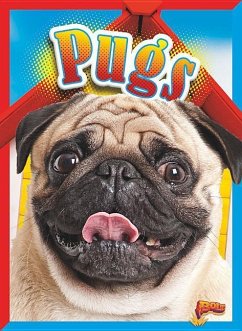 Pugs - Noll, Elizabeth