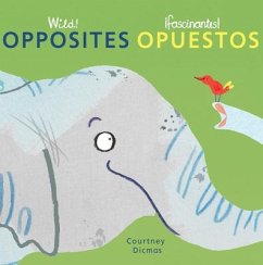 Opposites/Opuestos - Dicmas, Courtney