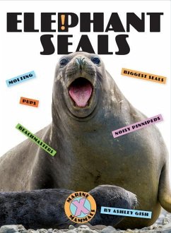 Elephant Seals - Gish, Ashley