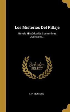 Los Misterios Del Pillaje: Novela Histórica De Costumbres Judiciales... - Montero, F. P.