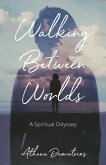Walking Between Worlds (eBook, ePUB)