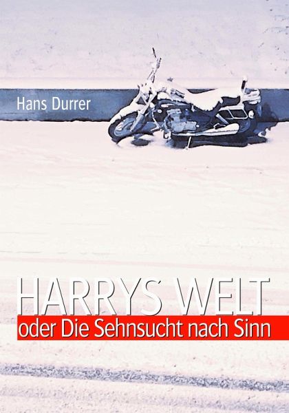 Harrys Welt oder Die Sehnsucht nach Sinn (eBook, ePUB)