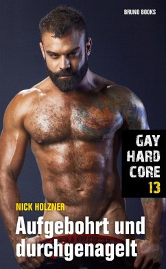 Gay Hardcore 13: Aufgebohrt und durchgenagelt (eBook, ePUB) - Holzner, Nick