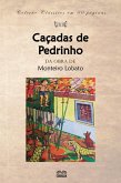 Caçadas de Pedrinho (eBook, ePUB)