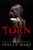 Torn (Original Sin Prequel) (eBook, ePUB)