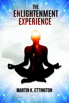 Cover The Enlightenment Experience (eBook, ePUB)