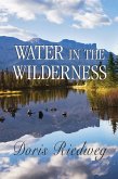 Water in the Wilderness (eBook, ePUB)