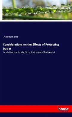 Considerations on the Effects of Protecting Duties