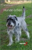 Hunde-Leben