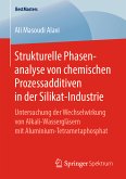 Strukturelle Phasenanalyse von chemischen Prozessadditiven in der Silikat-Industrie (eBook, PDF)