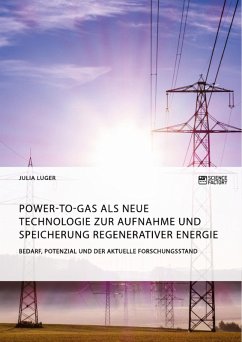 Power-to-Gas als neue Technologie zur Aufnahme und Speicherung regenerativer Energie. Bedarf, Potenzial und der aktuelle Forschungsstand (eBook, PDF)