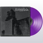 Our Voices Will Soar Forever