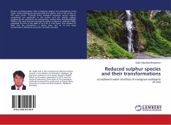 Reduced sulphur species and their transformations