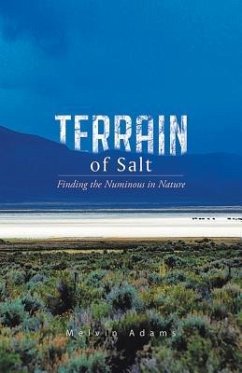 Cover Terrain of Salt (eBook, ePUB)