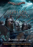 Воины бури (eBook, ePUB)