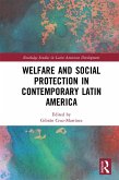 Welfare and Social Protection in Contemporary Latin America (eBook, ePUB)