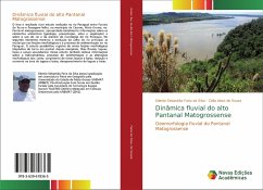 Dinâmica fluvial do alto Pantanal Matogrossense - Faria da Silva, Edenio Sebastião;de Souza, Célia Alves