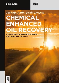 Chemical Enhanced Oil Recovery - Raffa, Patrizio;Druetta, Pablo