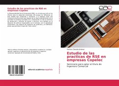 Estudio de las practicas de RSE en empresas Copelec