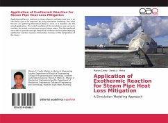 Application of Exothermic Reaction for Steam Pipe Heat Loss Mitigation - Credo, Marvin;Metra, Danilo