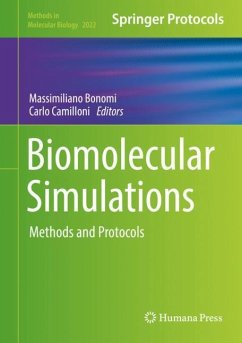 Biomolecular Simulations