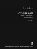 The Little Ice Age (eBook, PDF)