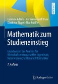 Mathematik zum Studieneinstieg (eBook, PDF)