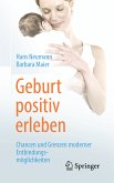 Geburt positiv erleben (eBook, PDF)