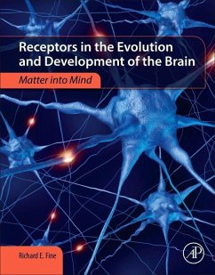 Receptors in the Evolution and Development of the Brain - Fine, Richard E.