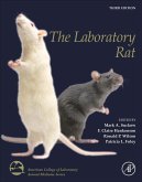 The Laboratory Rat The Laboratory Rat