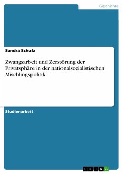 Zwangsarbeit und Zerstörung der Privatsphäre in der nationalsozialistischen Mischlingspolitik (eBook, PDF)