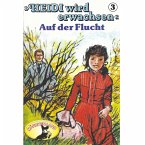 Auf der Flucht (MP3-Download)