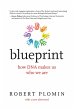 Blueprint - Bild 1