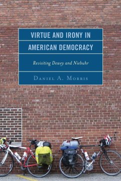 Cover Virtue and Irony in American Democracy